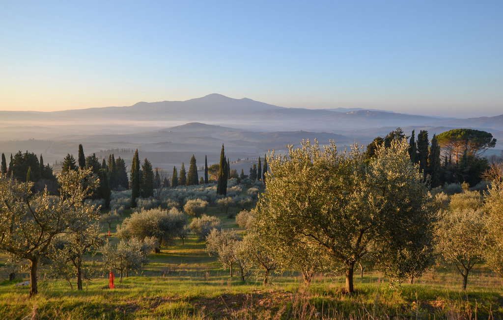 Ferienwohnung - Montenero d'Orcia , Italien - ITG001 20