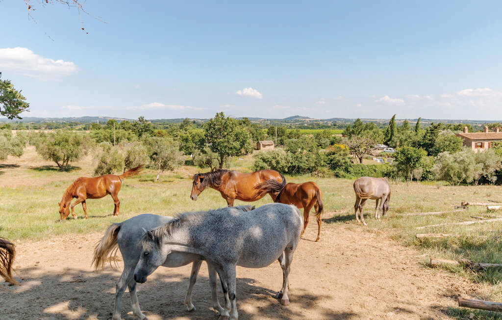 Semesterlägenhet - Sovana , Italien - ITG002 8