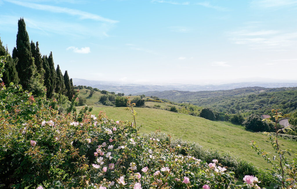 Domy wakacyjne - Stribugliano , Włochy - ITG007 14
