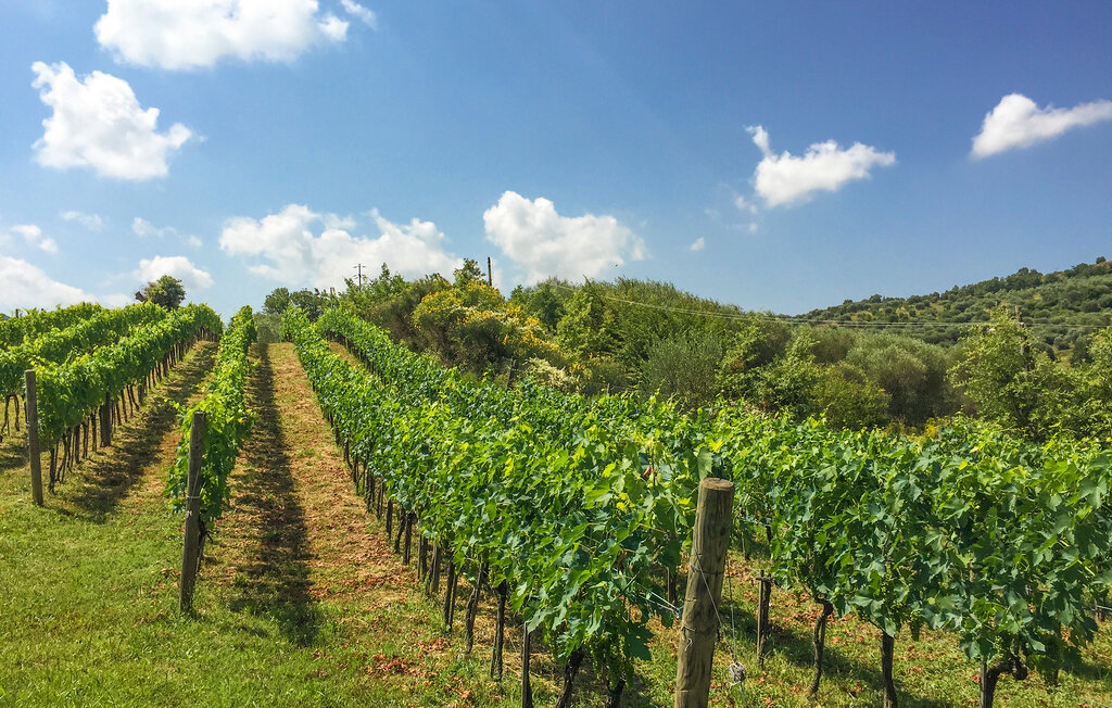 Ferienwohnung - Montelaterone , Italien - ITG010 21