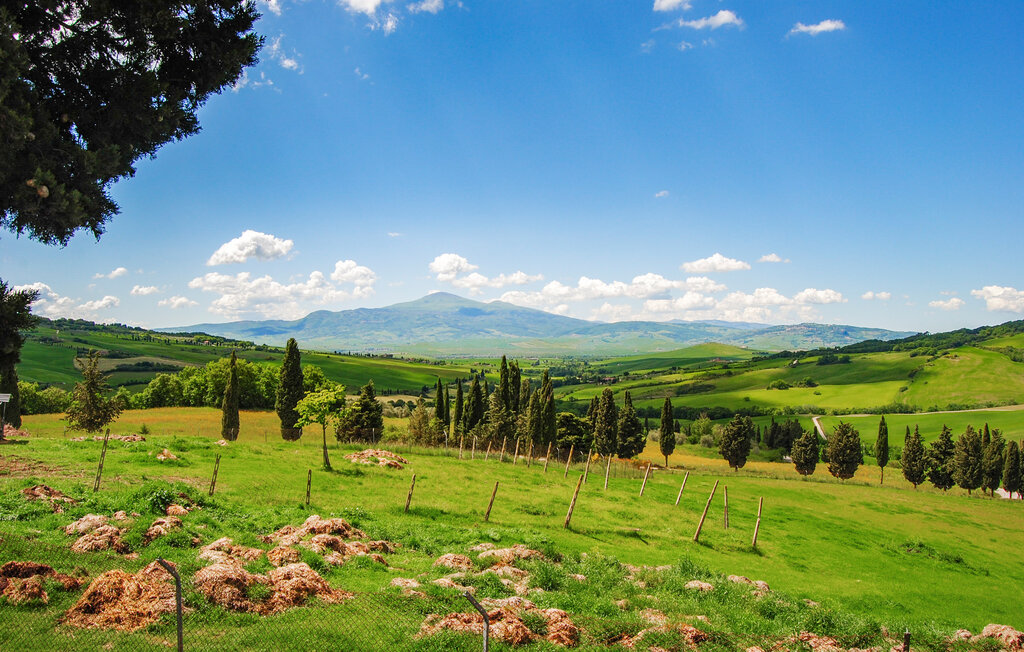 Ferienwohnung - Montelaterone , Italien - ITG010 23