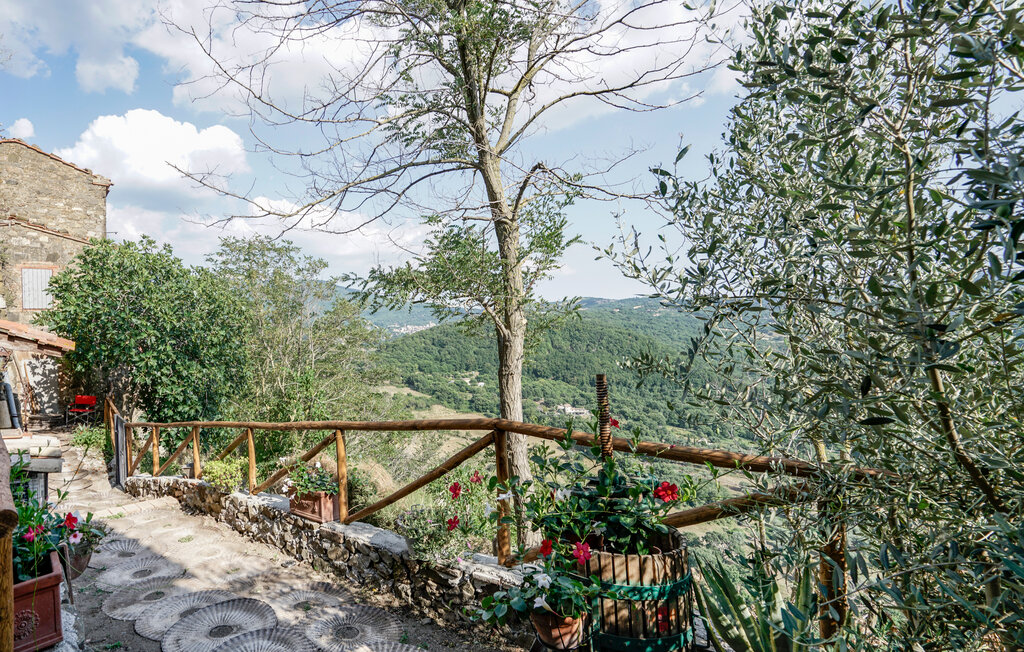 Ferienwohnung - Montelaterone , Italien - ITG010 5