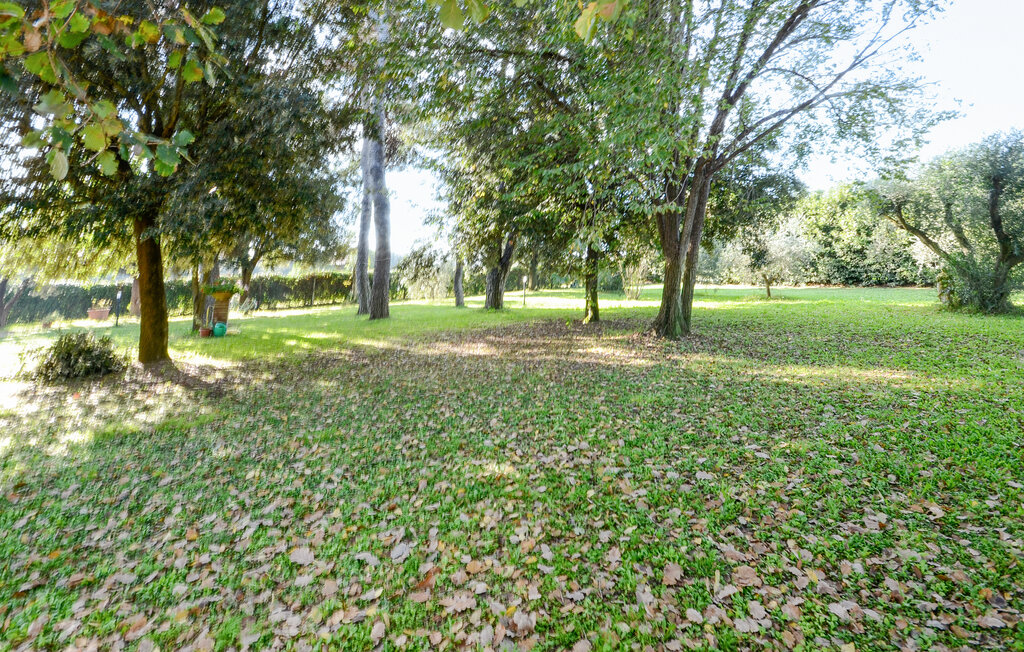 Feriehuse - Grosseto , Italien - ITG027 13