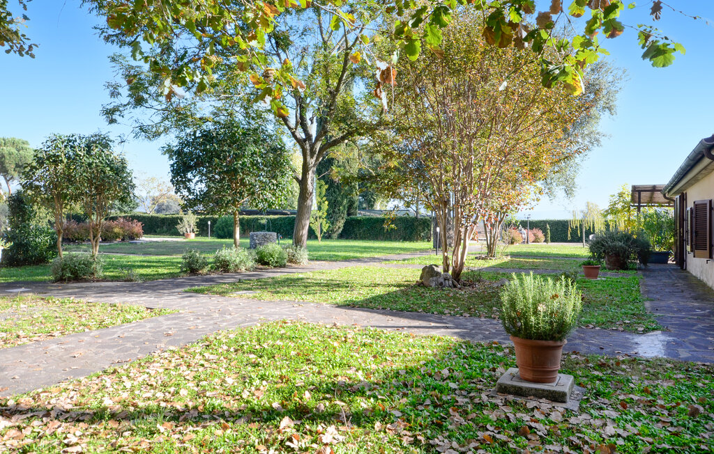 Feriehus - Grosseto , Italia - ITG029 13