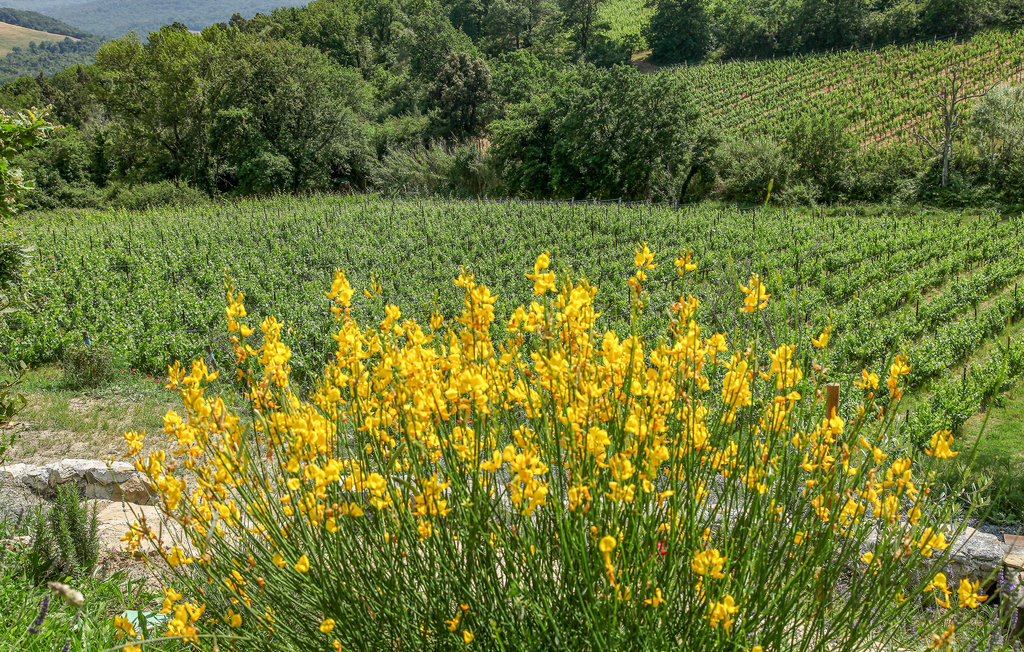 Feriehus - Montecatini Val di Cecina , Italia - ITK260 25