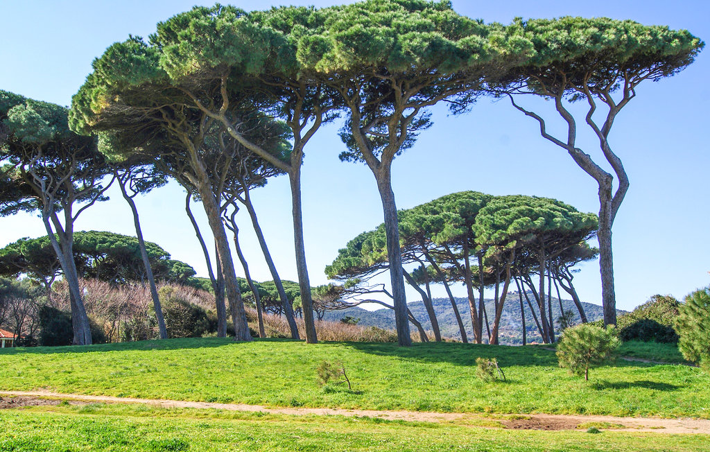 Ferieleilighet - Suvereto , Italia - ITK567 19