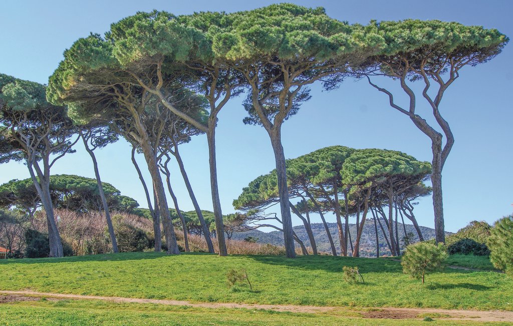 Ferienhaus - Campiglia Marittima , Italien - ITK525 33
