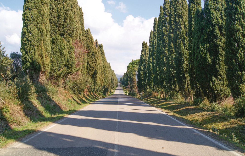 Feriehus - Cecina , Italia - ITK257 15