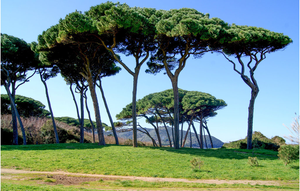 Semesterhus - Campiglia Marittima , Italien - ITK560 21