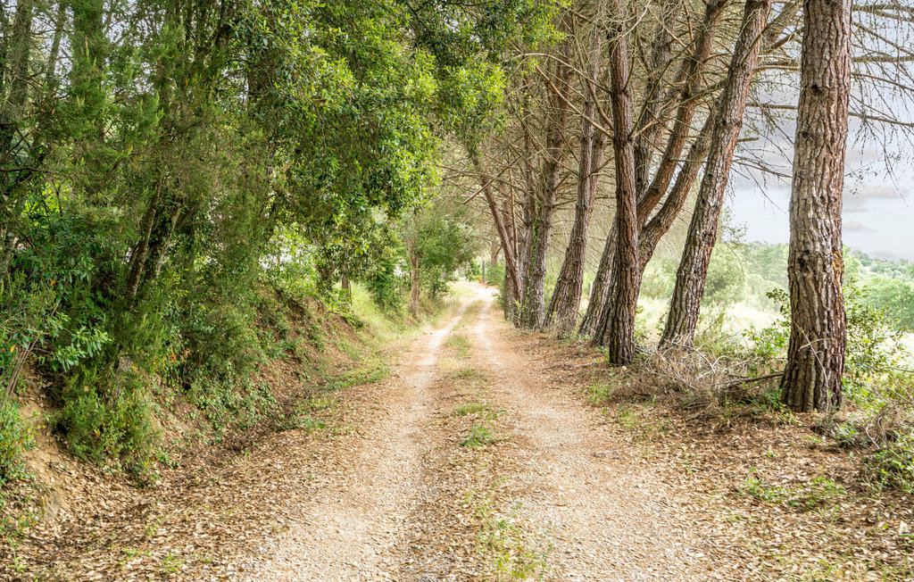 Semesterhus - Suvereto , Italien - ITK534 15