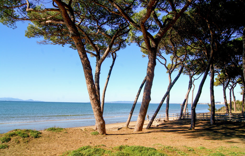 Ferienwohnung - Piombino , Italien - ITK270 5