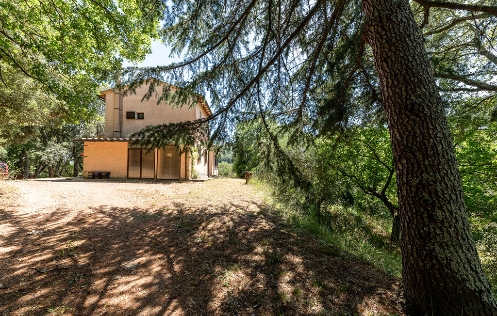 Feriehus - Sassetta , Italia - ITK258 8