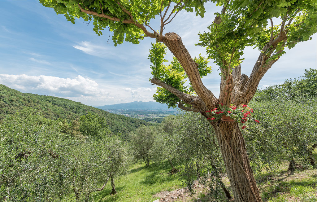 Feriehuse - Montecatino , Italien - ITL609 29