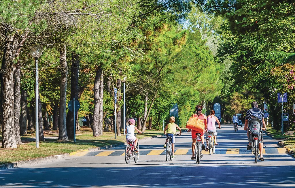 Ferienhaus - Castelvecchio di Compito , Italien - ITL626 25