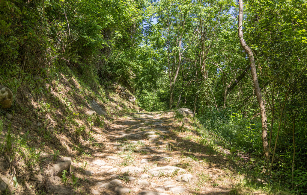 Lejlighed - Fivizzano , Italien - ITL628 13