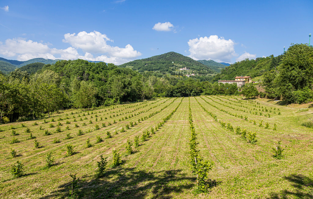 Lejlighed - Fivizzano , Italien - ITL628 12