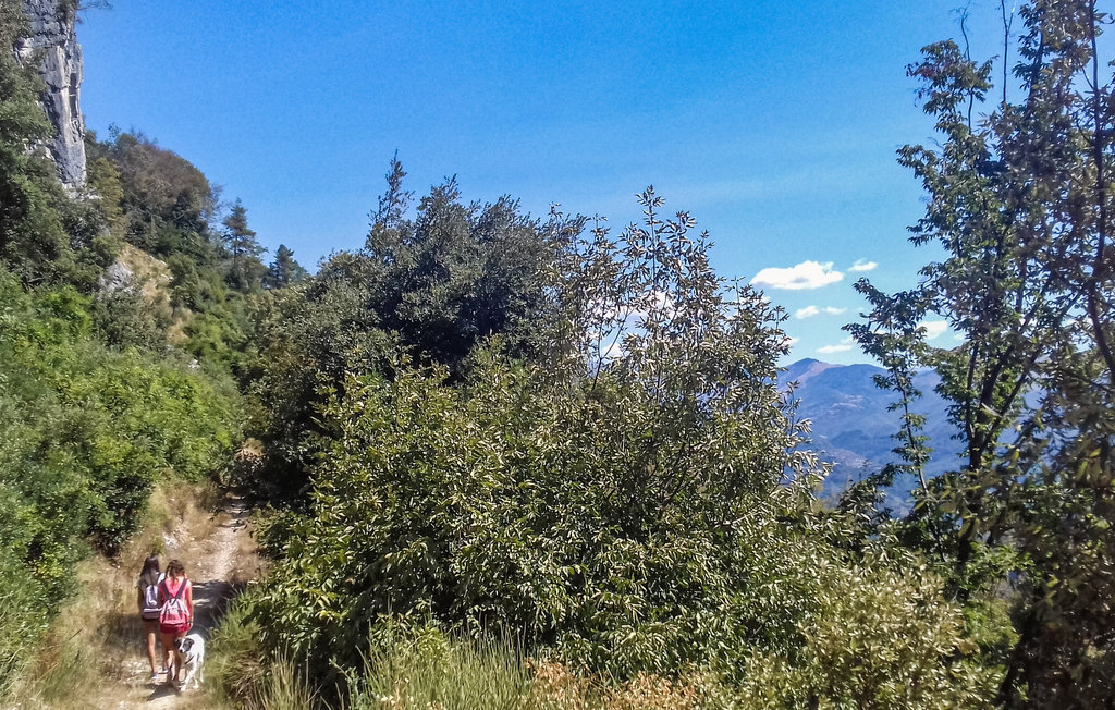 Ferienhaus - Colle di Compito , Italien - ITL676 41