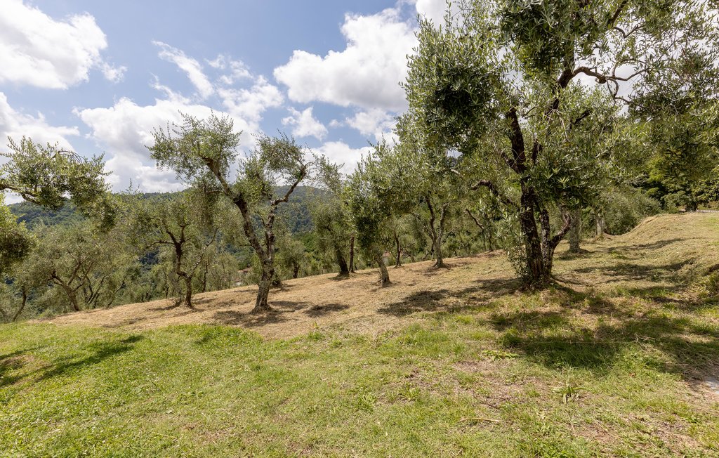 Feriehus - Partigliano - Borgo a Mozzano , Italia - ITL384 15