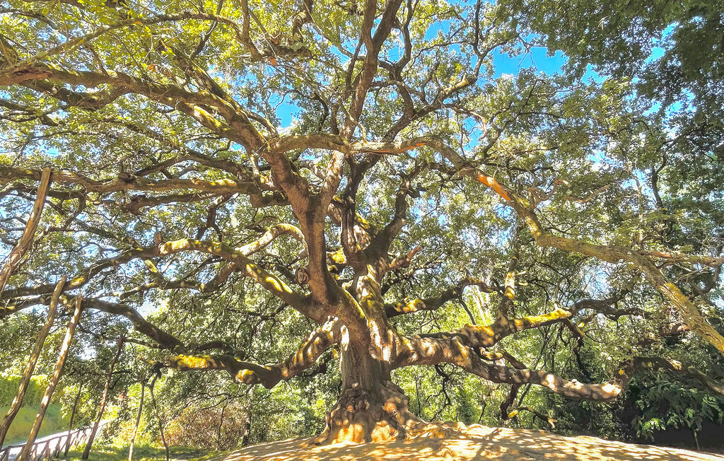 Feriehuse - S. Martino in Colle , Italien - ITL285 5