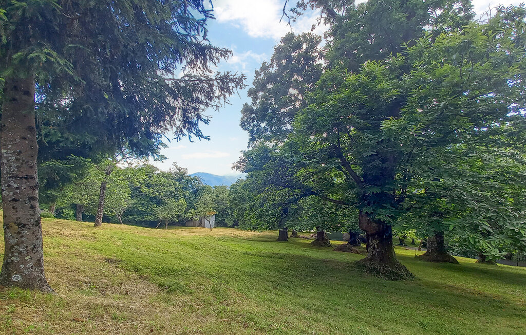 Location de vacances - Barga , Italie - ITL021 15