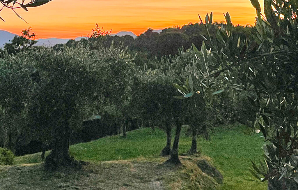 Ferienwohnung - S. Martino in Colle , Italien - ITL286 24