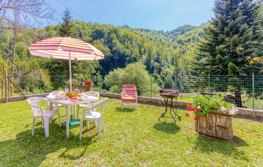 Dit mooie vakantiehuis ligt in een klein gehucht van 4 huizen in een rustige vallei omgeven door bergen, op slechts een paar stappen van het stadje Palagnana (provincie Lucca). Het gehucht waar de acc..