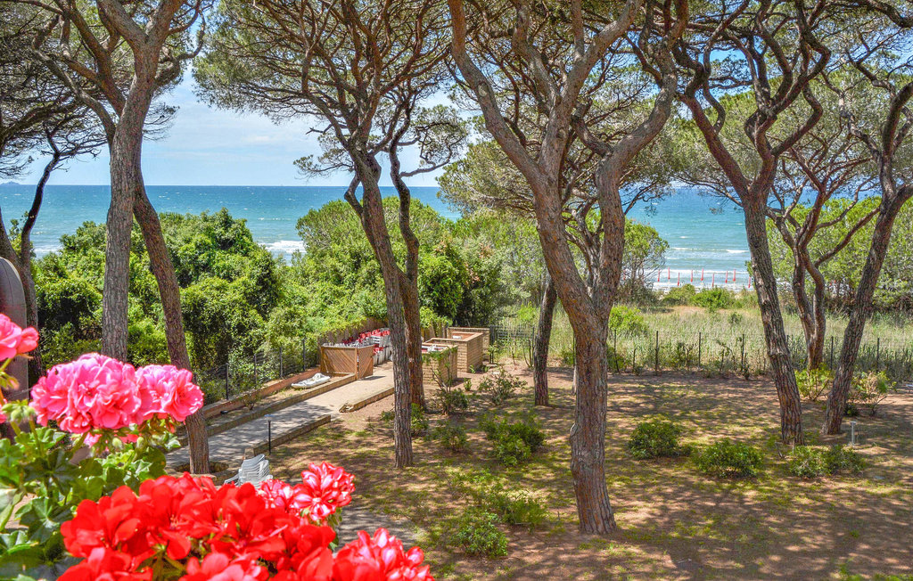 Semesterlägenhet - Puntone di Scarlino , Italien - ITM374 20