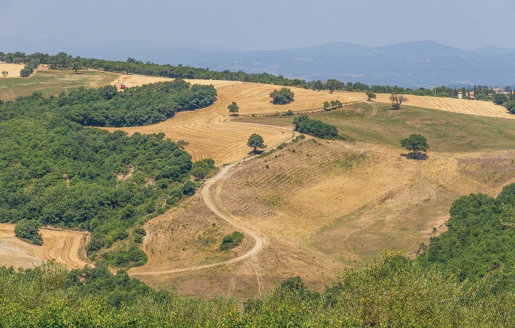 Semesterlägenhet - Magliano/ Toscana , Italien - ITM460 7