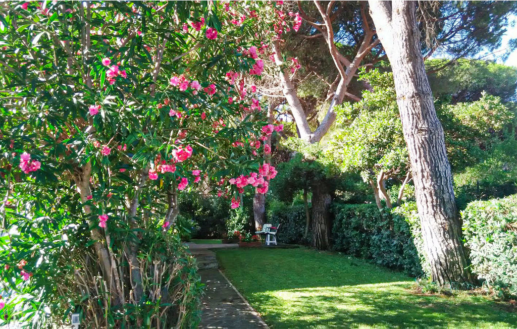 Ferienwohnung - Castiglione della Pescaia , Italien - ITM344 7