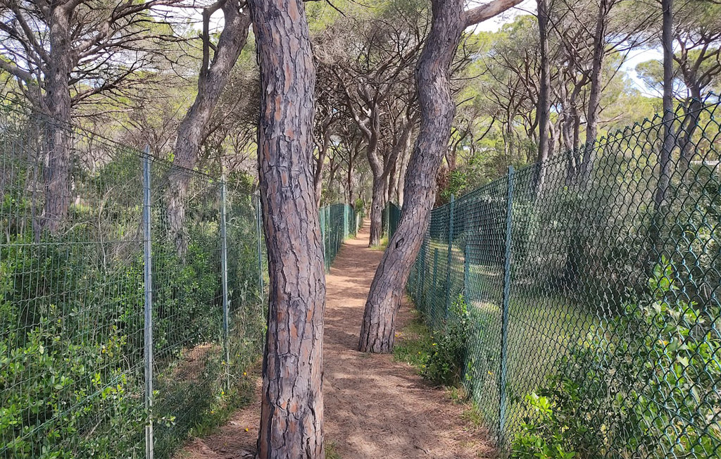 Ferienwohnung - Castiglione della Pescaia , Italien - ITM344 20