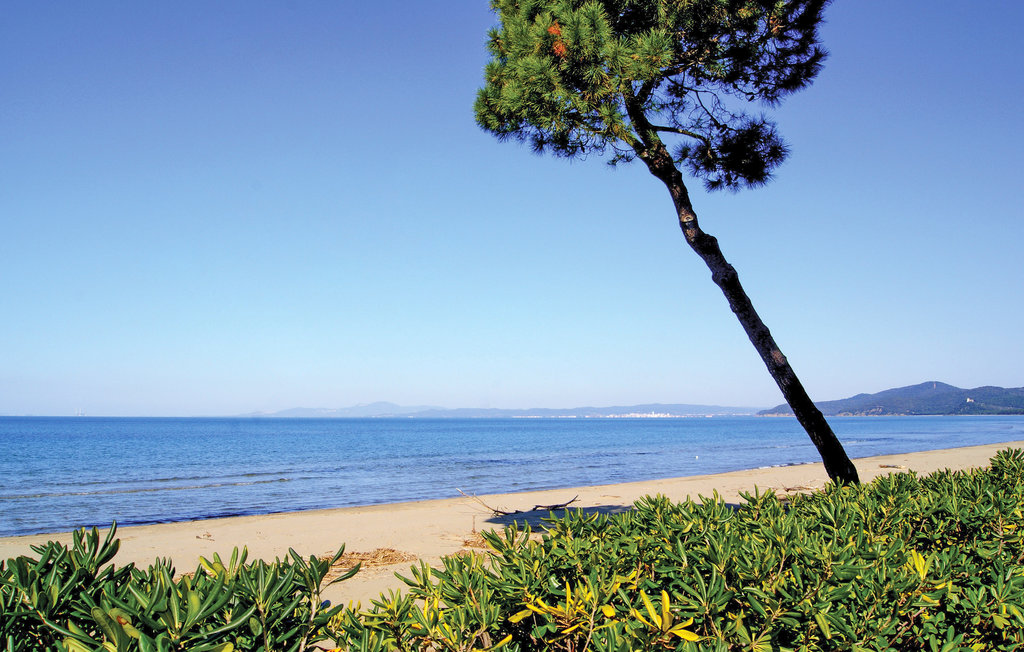 Lejlighed - Talamone , Italien - ITM470 15