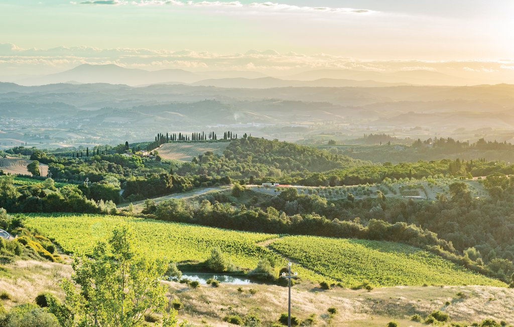 Lejlighed - Montaione , Italien - ITN177 18