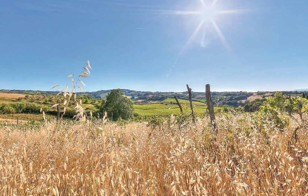 Ferieleilighet - Montaione , Italia - ITN181 20