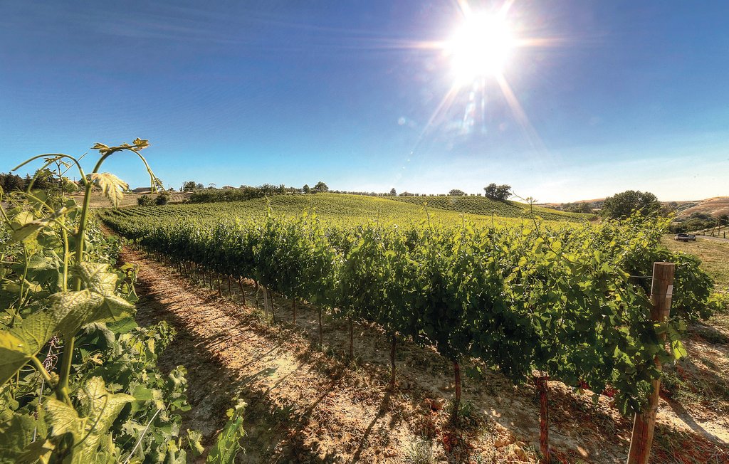 Lejlighed - Montaione , Italien - ITN177 4