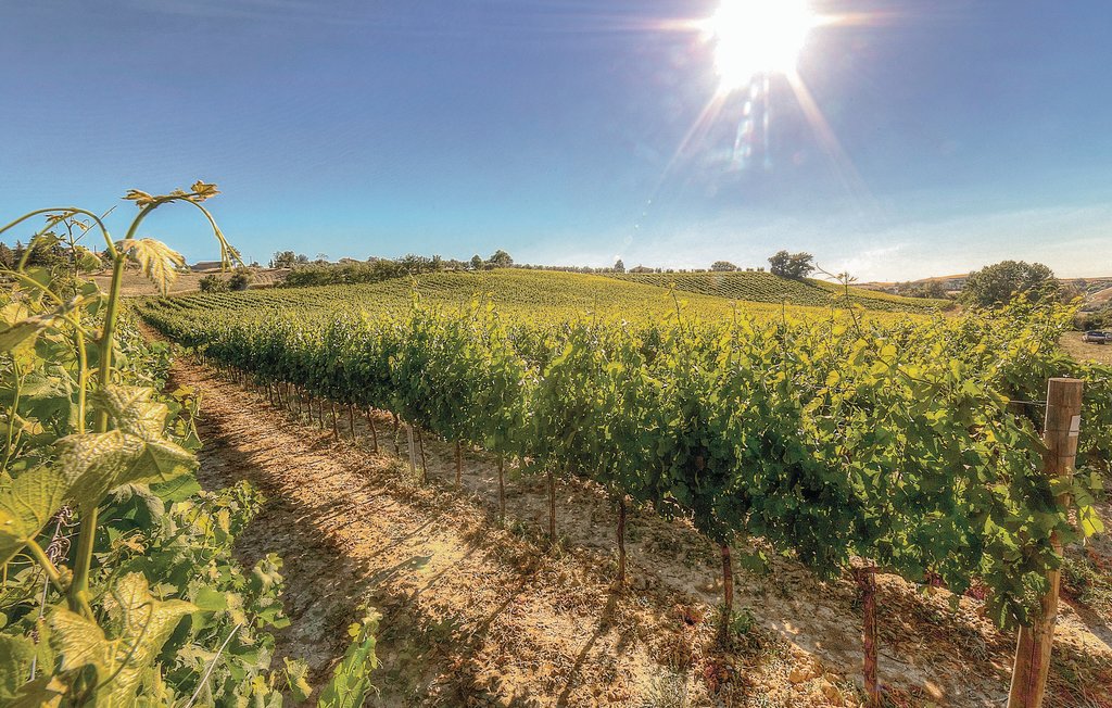 Ferieleilighet - Montaione , Italia - ITN181 21