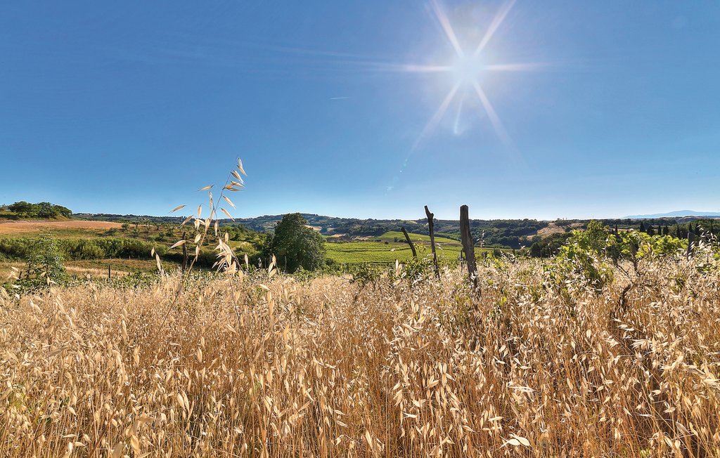 Semesterlägenhet - Montaione , Italien - ITN182 16