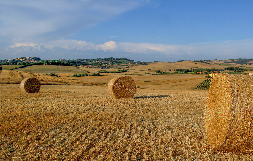 Feriehuse - Volterra , Italien - ITN310 16