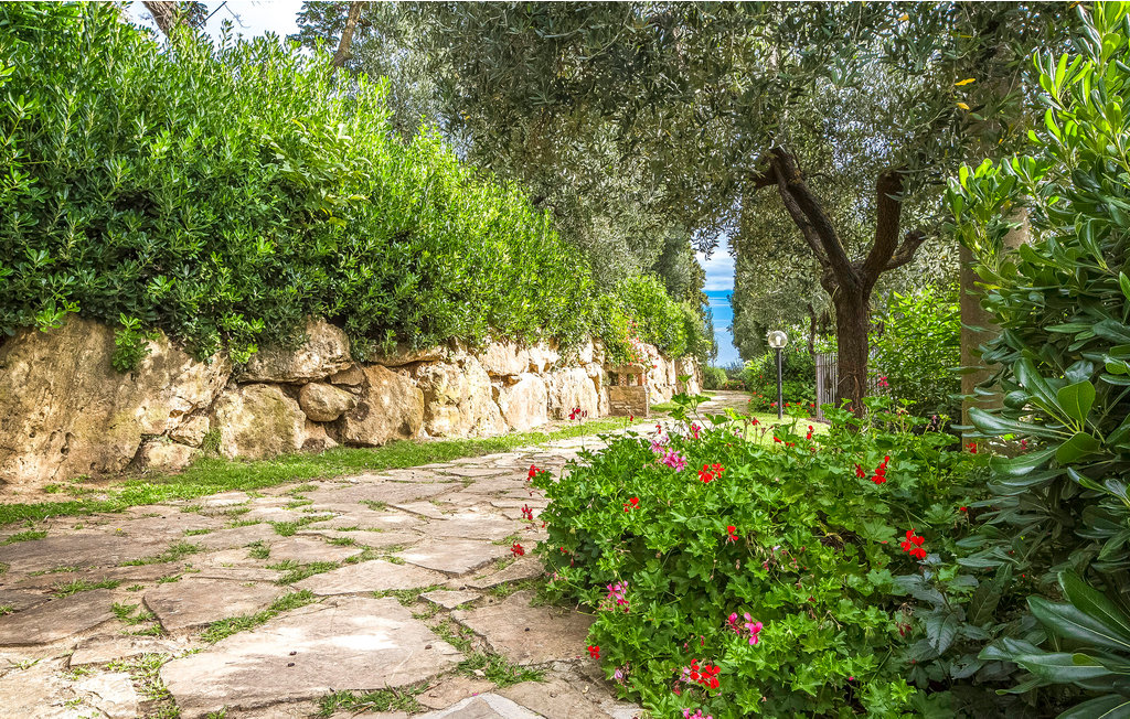 Ferienwohnung - Montaione , Italien - ITN304 14