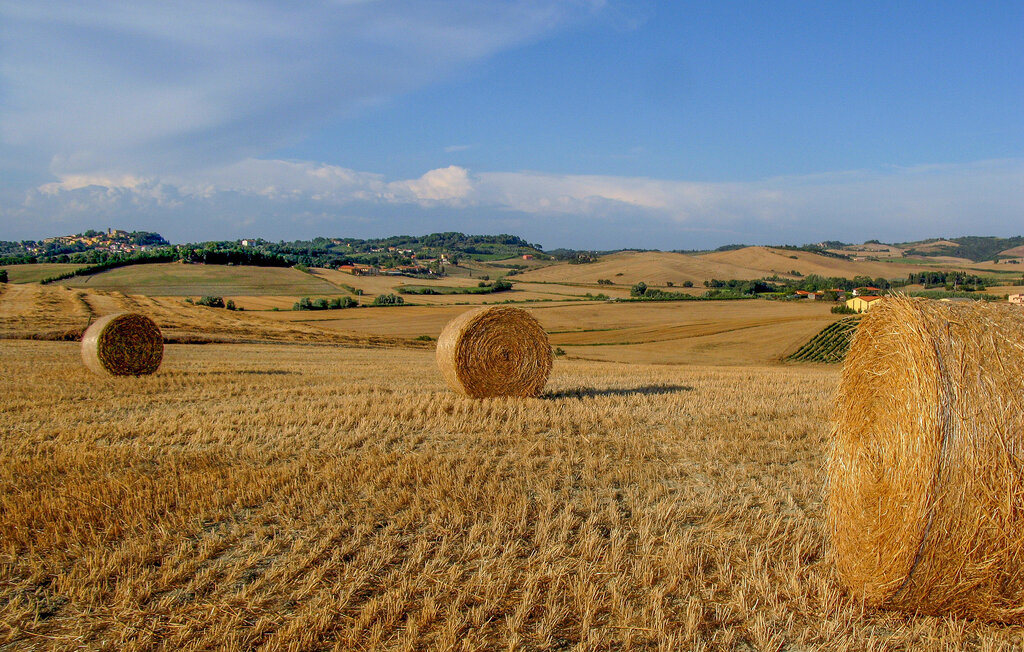 Ferienwohnung - Volterra , Italien - ITN001 17