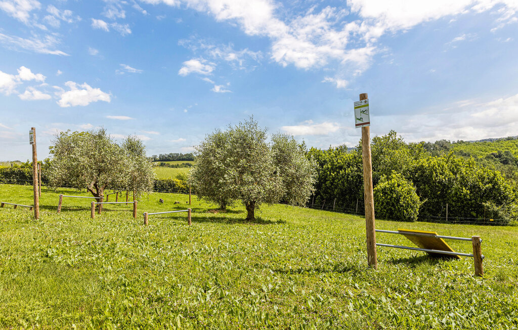 Feriehuse - Montaione , Italien - ITN309 34