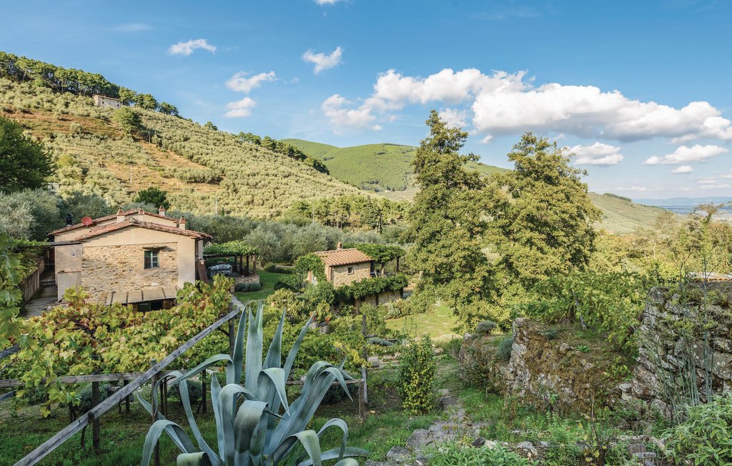 Feriehuse - Buti , Italien - ITP387 31