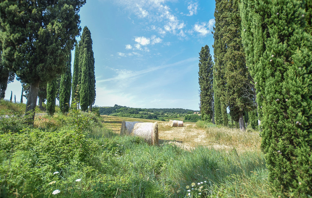 Ferienhaus - Montefoscoli , Italien - ITP626 17