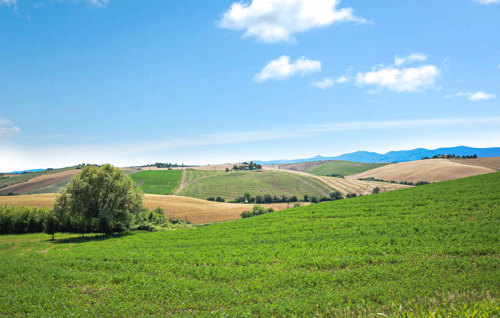 Lejlighed - Pieve di Santa Luce , Italien - ITP619 13