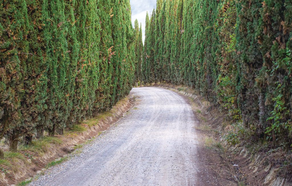 Feriehus - Capannoli , Italia - ITP262 27