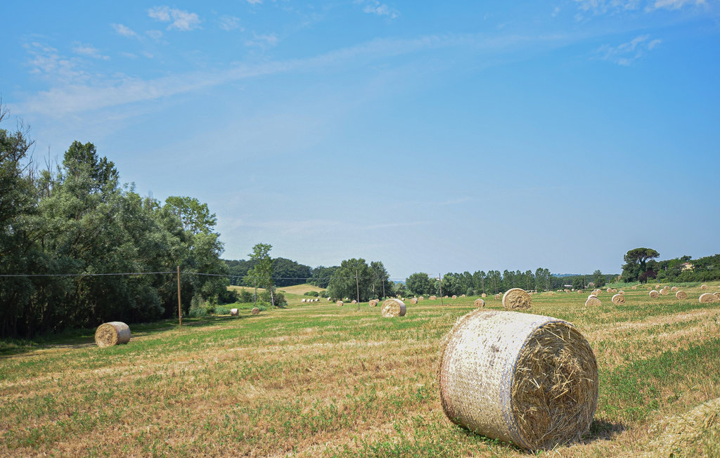 Ferienhaus - Montefoscoli , Italien - ITP626 18