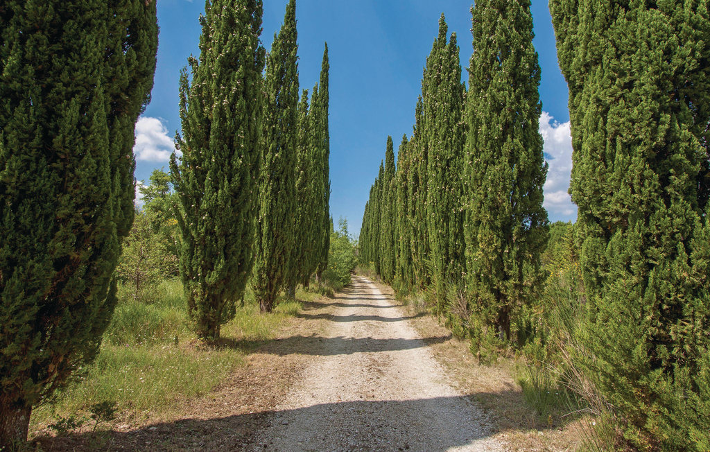 Semesterhus - La Leccia , Italien - ITP366 18