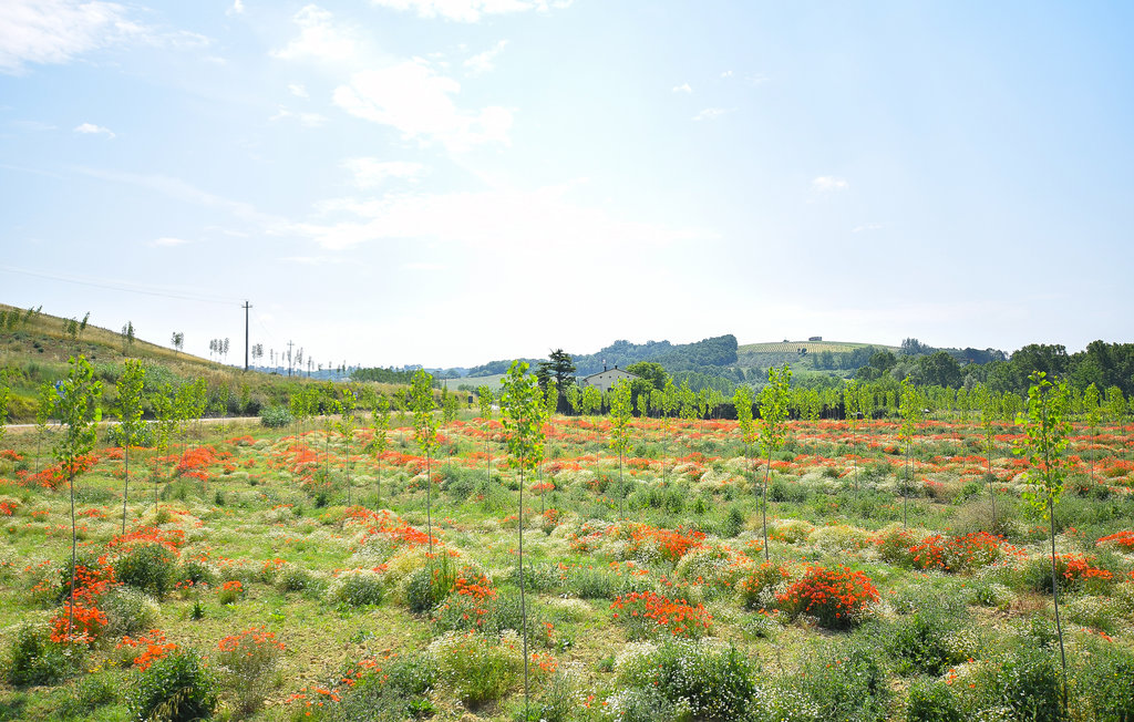 Feriehuse - San Miniato , Italien - ITP630 51