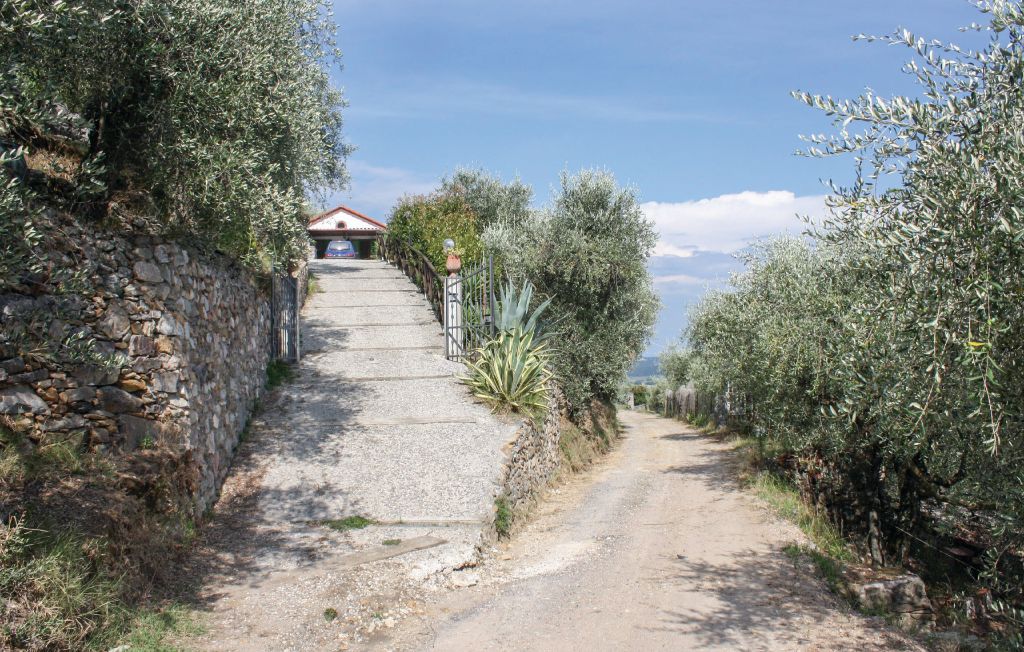 Feriehuse - Buti , Italien - ITP345 8