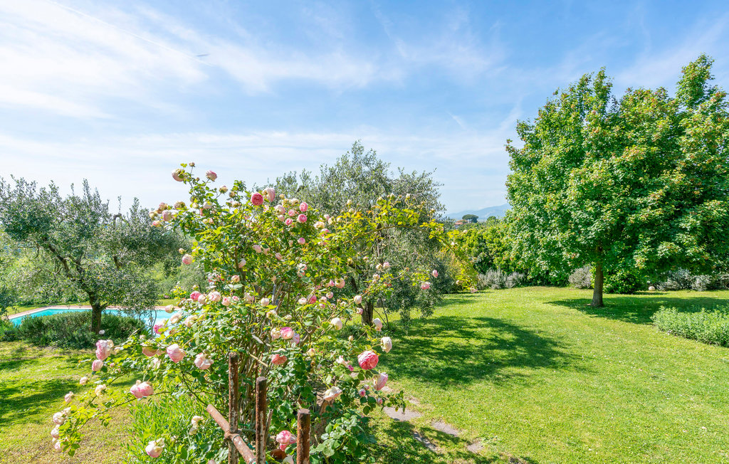 Ferienwohnung - Casciana Terme , Italien - ITP636 15