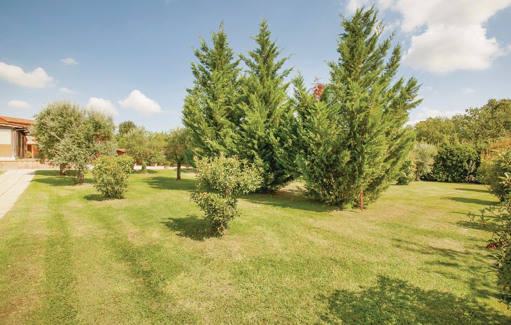 Ferienhaus - Orentano , Italien - ITP371 11